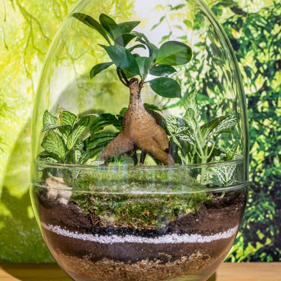 Terrarium London Into The Blue